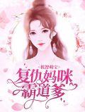 机智萌宝爹地我要妈咪
