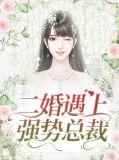 二婚总裁强宠99日