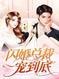 闪婚总裁宠甜妻免费阅读