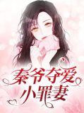 秦爷追妻全文免费