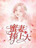 蜜婚甜宠之妻在上