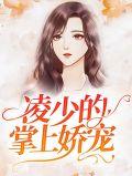 凌少宠妻上瘾