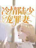 陆少的冷婚新