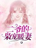 二爷宠妻无底线全文免费阅读