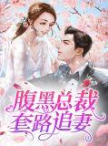 腹黑总裁追妻路免费阅读