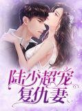 陆少超宠复仇妻子
