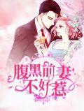 腹黑前妻是良人
