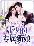 宠妻陆少的心尖宠