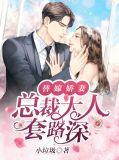 替嫁甜妻总裁大人宠
