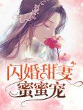 闪婚蜜宠小甜妻完整版
