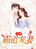 九爷 霸宠小娇妻