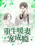 重生暖妻宠妻