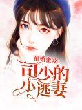 司少甜妻宠定了免费阅读