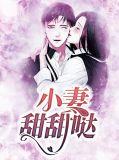 甜妻似火小妻不乖
