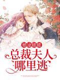 总裁暖婚系列