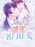盛宠名门佳妻免费