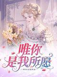 唯你所愿txt