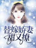 替嫁宠妻甜又撩