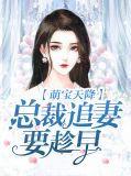 萌宝来袭总裁追妻难完整版全文