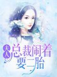 总裁夫人要生了