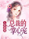 总裁的入骨娇宠