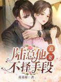 陆总追妻路漫漫