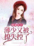 宠上天本书