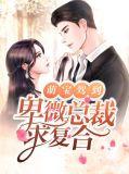 萌宝驾到总裁追妻路漫漫免费阅读