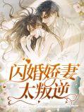 闪婚娇妻太叛逆免费阅读