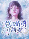 总裁情锁小娇妻全文阅读