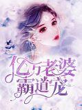 亿万老婆买一送一完整版免费阅读