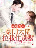 豪门闪婚boss