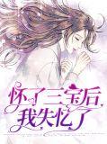 我怀了三个神明的孩子