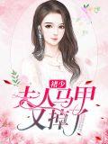 夫人少个马甲