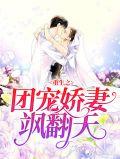 重生之团宠甜妻
