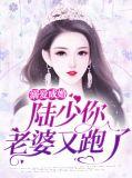 溺宠陆少甜妻有点萌