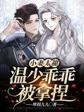 小妻太甜吻上瘾()
