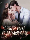 高冷上司竟是闪婚对象免费阅读