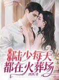 闪婚后陆少每天都在火葬场南歌