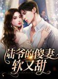 陆爷的傻妻软又甜免费阅读