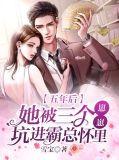五年前她生下三胞胎的全文阅读
