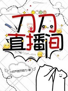 刀刀直播间 小井不吃巧克力 晋江