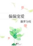 偏偏宠爱电视剧