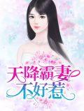 天降婚宠霸总不好惹