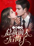 一胎二宝总裁的天价前妻