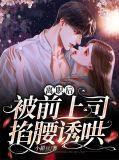离职后被前上司纠缠住了