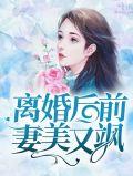 离婚后前妻美又飒短剧免费