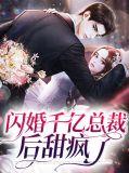 闪婚千亿总裁晚安小娇妻全文免费阅读