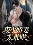 夜少宠妻很卖力