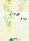 方尖碑txt 百度
